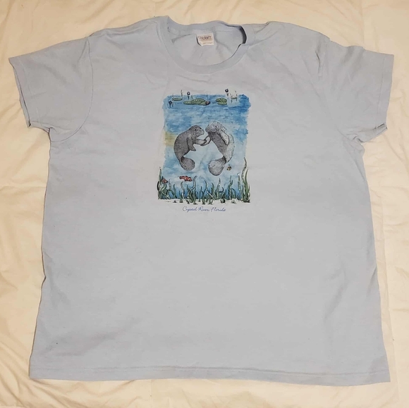 Gildan Tops - Manatee Crystal River Light Blue Tshirt Womens Vintage